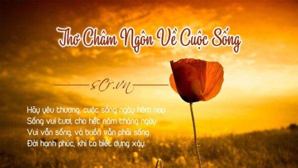 Thơ hay ngắn về cuộc sống