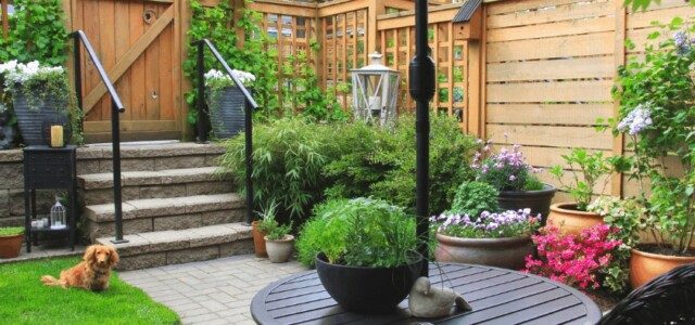 Vì sao phải thuê đơn vị thiết kế thi công sân vườn tại Hà Nội?