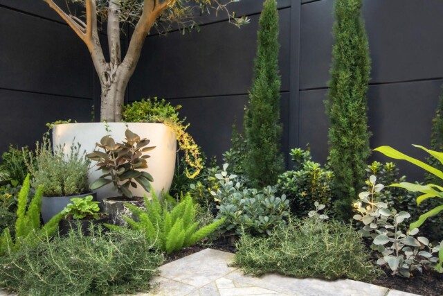 Vì sao phải thuê đơn vị thiết kế thi công sân vườn tại Hà Nội?