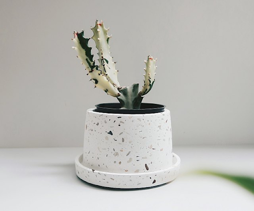 Cơ sở cung cấp chậu cảnh Terrazzo uy tín