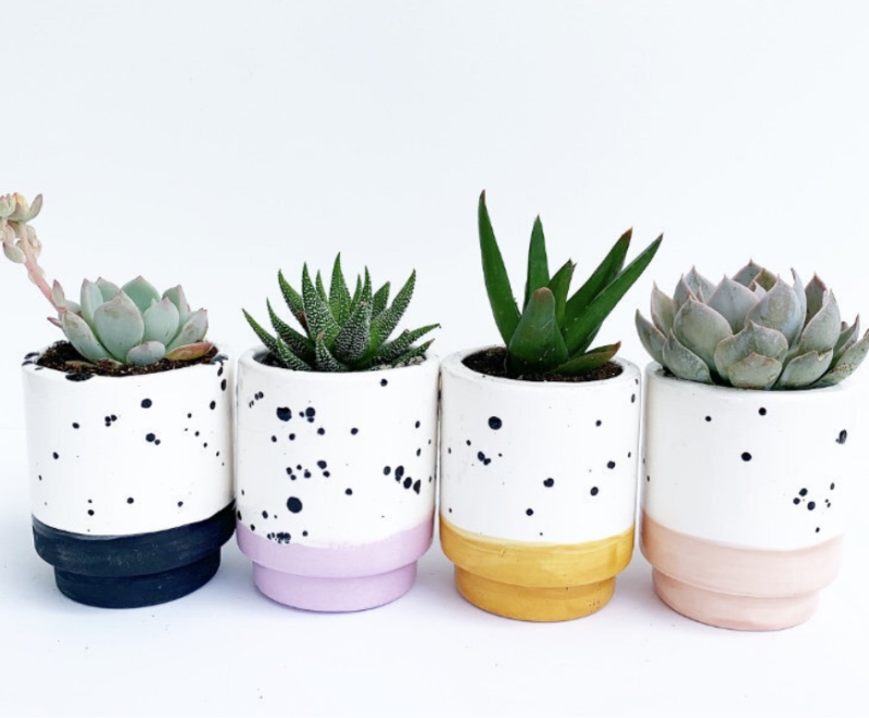 Mua chậu tại gánh hàng rong