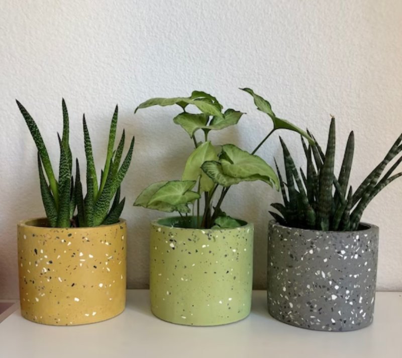 Trang trí chậu Terrazzo tại quán cafe