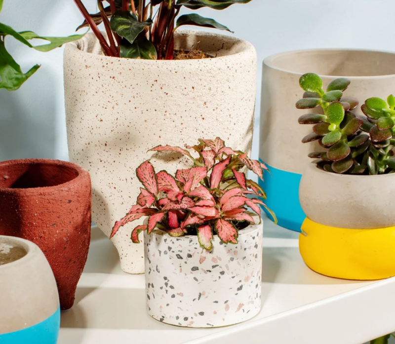 Trang trí chậu Terrazzo tại văn phòng làm việc