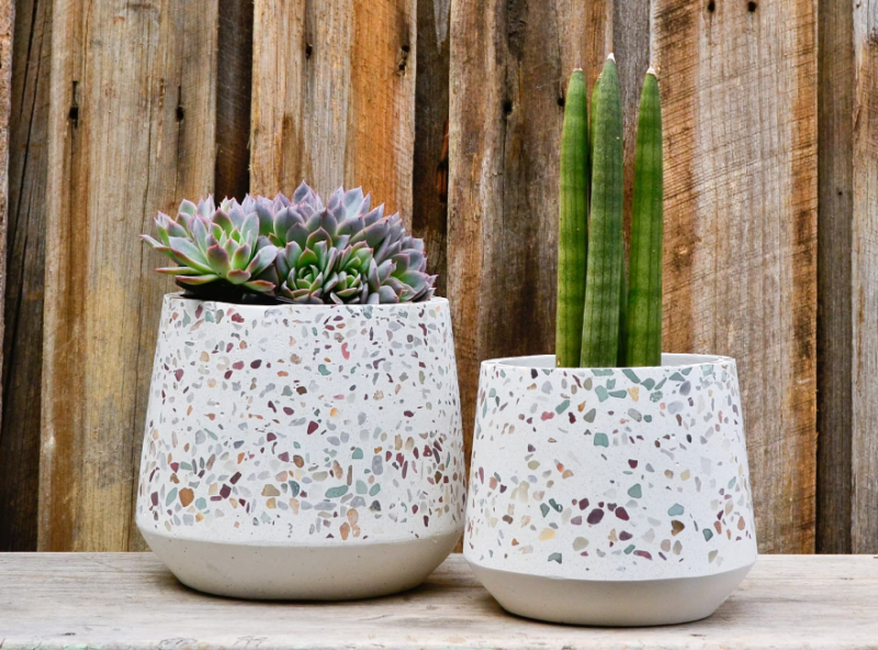 Lựa chọn địa chỉ cung cấp chậu cảnh uy tín