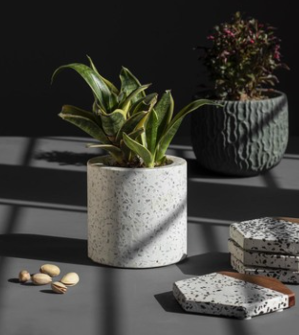 Cơ Sở Cung Cấp Chậu Cảnh Terrazzo Tại Lai Châu