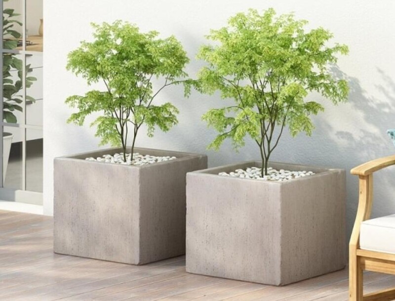 Địa Chỉ Cung Cấp Mua Bán Chậu Cảnh Giá Rẻ Uy Tín