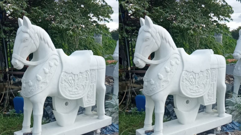 Địa Chỉ Cung Cấp Mua Bán Tượng Con Giống Giá Rẻ Hiện Nay