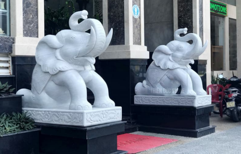 Địa Chỉ Cung Cấp Mua Bán Tượng Con Giống Giá Rẻ Hiện Nay